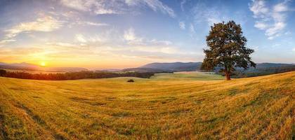 Terrain à Chemaudin et Vaux en Doubs (25) de 764 m² à vendre au prix de 120000€