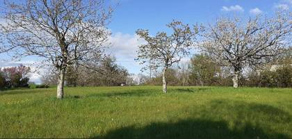 Terrain à Ribérac en Dordogne (24) de 1500 m² à vendre au prix de 16000€