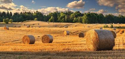 Terrain à Roulans en Doubs (25) de 788 m² à vendre au prix de 59769€