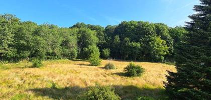 Terrain à Chamboret en Haute-Vienne (87) de 821 m² à vendre au prix de 32000€