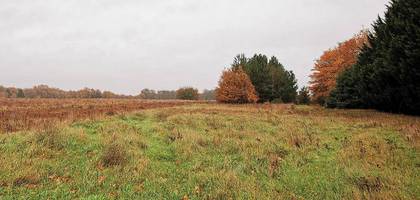 Terrain à Semblançay en Indre-et-Loire (37) de 500 m² à vendre au prix de 76000€