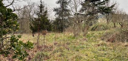 Terrain à Le Passage en Lot-et-Garonne (47) de 2141 m² à vendre au prix de 79000€