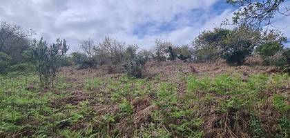 Terrain à Crozon en Finistère (29) de 532 m² à vendre au prix de 4596€