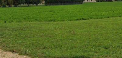 Terrain et maison à Bourgogne-Fresne en Marne (51) de 90 m² à vendre au prix de 325000€ - 3