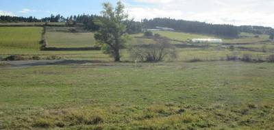 Terrain à Grandrieu en Lozère (48) de 1500 m² à vendre au prix de 39300€ - 1