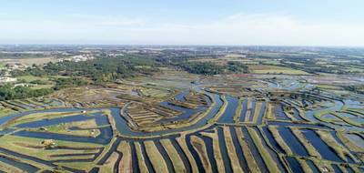 Terrain à Brem-sur-Mer en Vendée (85) de 455 m² à vendre au prix de 128000€ - 4