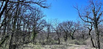 Terrain à Figeac en Lot (46) de 38987 m² à vendre au prix de 443380€ - 3