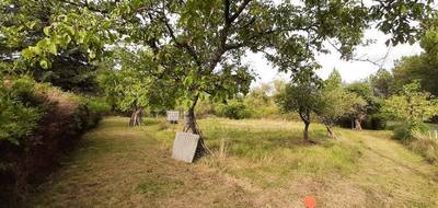 Terrain à Langeais en Indre-et-Loire (37) de 600 m² à vendre au prix de 61000€ - 3