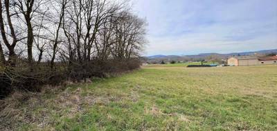 Terrain à Daumazan-sur-Arize en Ariège (09) de 5339 m² à vendre au prix de 71000€ - 4