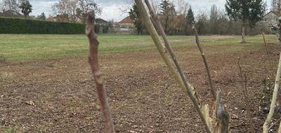 Terrain à Bourges en Cher (18) de 1765 m² à vendre au prix de 65500€ - 1