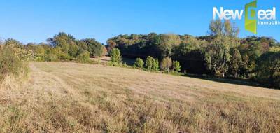 Terrain à Ussac en Corrèze (19) de 2800 m² à vendre au prix de 60000€ - 1