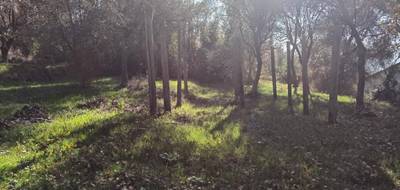 Terrain à Contes en Alpes-Maritimes (06) de 840 m² à vendre au prix de 469000€ - 4