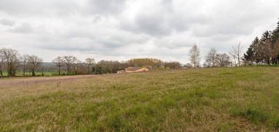 Terrain à Confolens en Charente (16) de 11500 m² à vendre au prix de 23990€ - 3