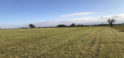 Terrain et maison à Roppe en Territoire de Belfort (90) de 600 m² à vendre au prix de 316400€ - 3