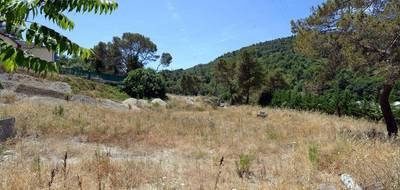 Terrain à Contes en Alpes-Maritimes (06) de 10000 m² à vendre au prix de 2103000€ - 3