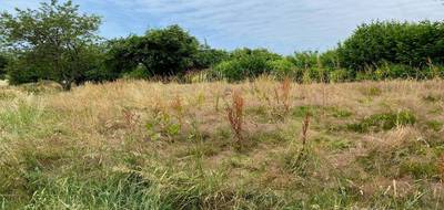 Terrain et maison à Bavilliers en Territoire de Belfort (90) de 705 m² à vendre au prix de 407727€ - 3