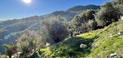 Terrain à Contes en Alpes-Maritimes (06) de 3015 m² à vendre au prix de 190000€ - 4