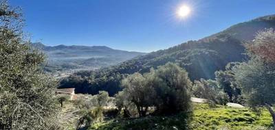 Terrain à Contes en Alpes-Maritimes (06) de 3015 m² à vendre au prix de 190000€ - 3