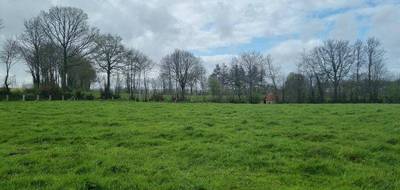 Terrain à Tinchebray-Bocage en Orne (61) de 6570 m² à vendre au prix de 23000€ - 1