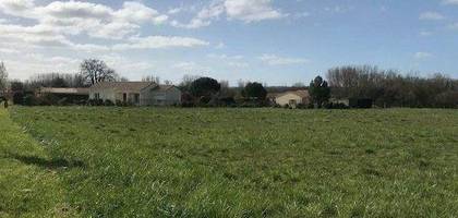 Terrain à Bassac en Charente (16) de 2500 m² à vendre au prix de 50000€