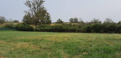 Terrain à Vaumas en Allier (03) de 1090 m² à vendre au prix de 13080€