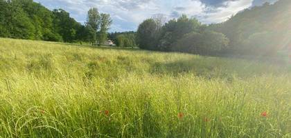 Terrain à Campsegret en Dordogne (24) de 3600 m² à vendre au prix de 47000€