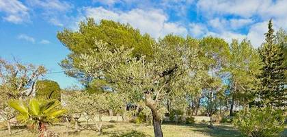 Terrain à La Roquebrussanne en Var (83) de 1000 m² à vendre au prix de 139000€