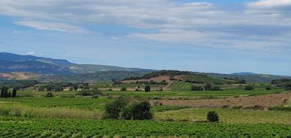 Terrain à Montner en Pyrénées-Orientales (66) de 445 m² à vendre au prix de 76000€