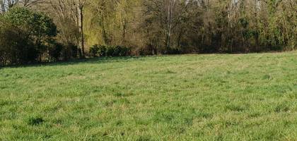 Terrain à Pommeuse en Seine-et-Marne (77) de 771 m² à vendre au prix de 108000€