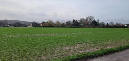 Terrain à Wormhout en Nord (59) de 510 m² à vendre au prix de 60000€
