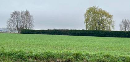 Terrain à Gonnehem en Pas-de-Calais (62) de 700 m² à vendre au prix de 64200€