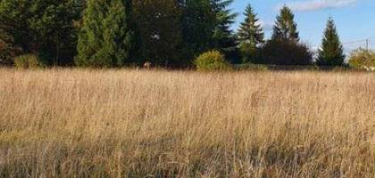 Terrain à La Chapelle-Gonaguet en Dordogne (24) de 3285 m² à vendre au prix de 40000€