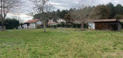 Terrain à Pontenx-les-Forges en Landes (40) de 606 m² à vendre au prix de 85000€