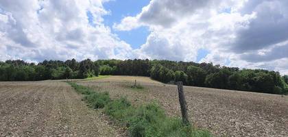 Terrain à Lisle en Dordogne (24) de 2451 m² à vendre au prix de 35000€
