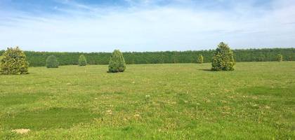 Terrain à Hangest-en-Santerre en Somme (80) de 932 m² à vendre au prix de 47000€