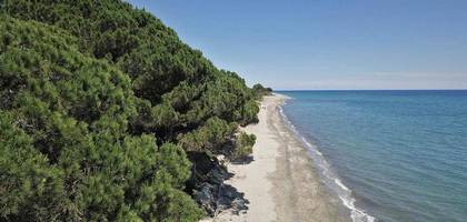 Terrain à Cervione en Haute-Corse (2B) de 602 m² à vendre au prix de 250000€
