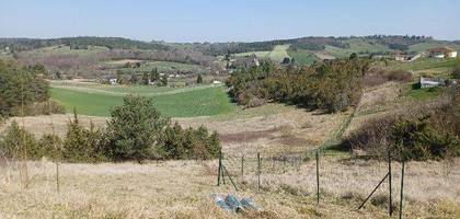 Terrain à Saint-Pierre-de-Chignac en Dordogne (24) de 23000 m² à vendre au prix de 142500€