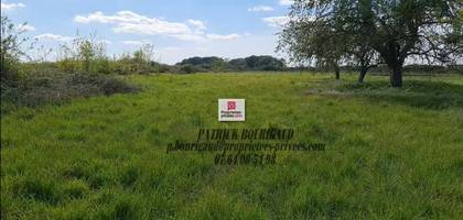 Terrain à Poulaines en Indre (36) de 20570 m² à vendre au prix de 103500€