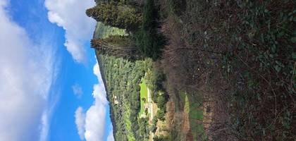 Terrain à Sartène en Corse-du-Sud (2A) de 9800 m² à vendre au prix de 49000€