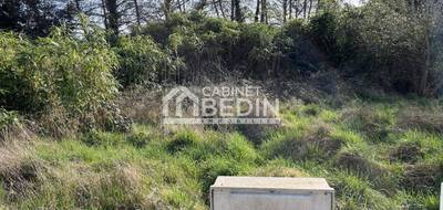 Terrain à Audenge en Gironde (33) de 0 m² à vendre au prix de 213000€ - 2