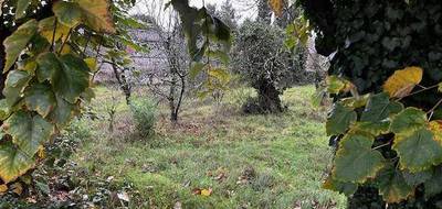 Terrain et maison à Châteaubernard en Charente (16) de 79 m² à vendre au prix de 171073€ - 4