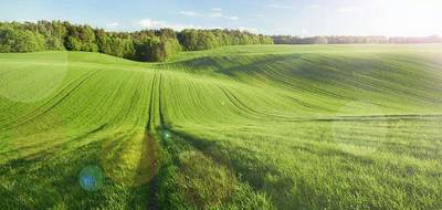 Terrain à Vibraye en Sarthe (72) de 600 m² à vendre au prix de 18000€ - 3