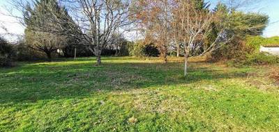 Terrain et maison à Juigné-sur-Sarthe en Sarthe (72) de 94 m² à vendre au prix de 219519€ - 4