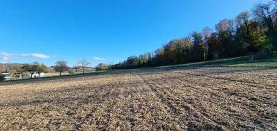 Terrain à Hirsingue en Haut-Rhin (68) de 1247 m² à vendre au prix de 210000€ - 4