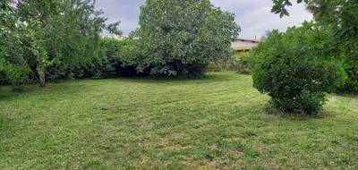 Terrain et maison à Gaillac en Tarn (81) de 98 m² à vendre au prix de 240000€ - 4