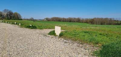 Terrain à Montanay en Rhône (69) de 700 m² à vendre au prix de 320000€ - 2