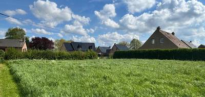 Terrain et maison à Bavinchove en Nord (59) de 145 m² à vendre au prix de 299000€ - 4