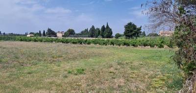 Terrain à Violès en Vaucluse (84) de 554 m² à vendre au prix de 119500€ - 3