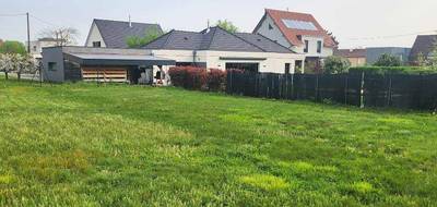 Terrain et maison à Soultz-Haut-Rhin en Haut-Rhin (68) de 187 m² à vendre au prix de 761000€ - 3