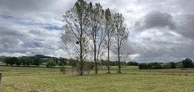 Terrain à Naucelles en Cantal (15) de 569 m² à vendre au prix de 43200€ - 2